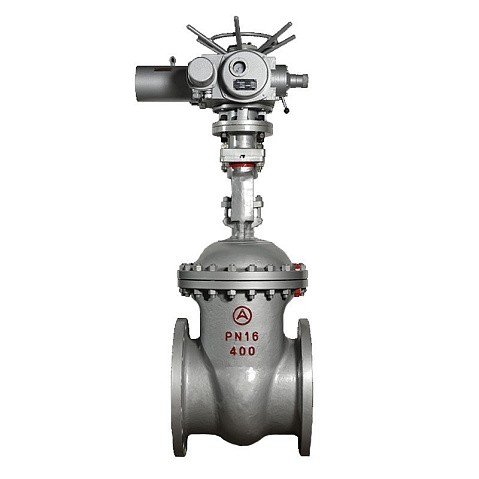 Задвижка стальная 30с941нж DN 600 PN 16 фланцевая под привод тип Г, класс ''А'' L=800мм САЗ АВАНГАРД купить в Воронеже | "Проконсим"