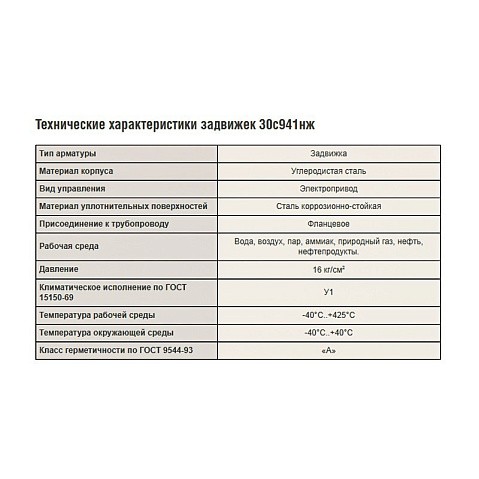 Задвижка стальная 30с941нж DN 150 PN 16 фланцевая под привод тип А, класс ''А'' L=280мм САЗ АВАНГАРД купить в Воронеже | "Проконсим"