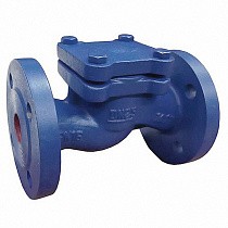 Клапаны обратные подъемные DN 15-200 PN 16 чугунные фланцевые до 250гр. АСТА ОК113 купить в Воронеже | "Проконсим"