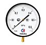Манометр Росма ТМ-810Р.00 котловый, 250мм, 0-60кгс/см2, резьба M20x1,5, радиальный, класс точности 1,5 купить в Воронеже | "Проконсим"