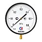 Манометр Росма ТМ-810Р.00 котловый, 250мм, 0-16кгс/см2, резьба M20x1,5, радиальный, класс точности 1,5 купить в Воронеже | "Проконсим"
