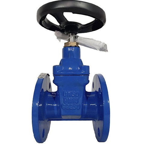 Задвижка чугунная 30ч39р DN 50 PN 10(16) с обрезиненным клином EPDM до 120гр. фланцевый ручной СИБЗТА купить в Воронеже | "Проконсим" (930130200)