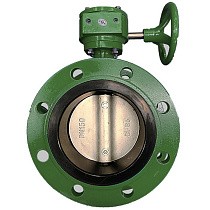 Затворы чугунные дисковые DN 50-1200 PN 16 фланцевые с чугунным диском с редуктором GALA Тип.2123-G купить в Воронеже | "Проконсим"