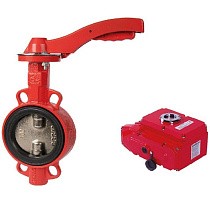 Затворы чугунные дисковые DN 50-300 PN 16 с электроприводом 220В диск из нержавеющей стали РАШВОРК купить в Воронеже | "Проконсим"