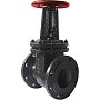 Задвижка чугунная 30ч6бр DN 80 PN 16(10) фланцевая параллельная ЛМЗ Семенов купить в Воронеже | "Проконсим"