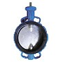 Затворы поворотные дисковые DN 200-800 PN 16 межфланцевые с голым штоком Seagull купить в Воронеже | "Проконсим"