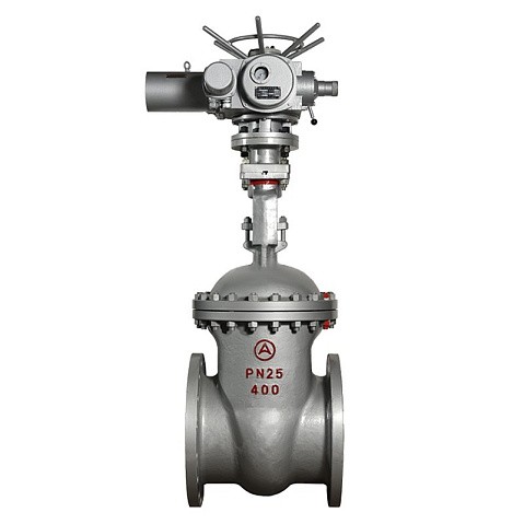 Задвижка стальная 30с964нж DN 600 PN 25 фланцевая под привод тип Г, класс ''А'' L=800мм САЗ АВАНГАРД купить в Воронеже | "Проконсим"