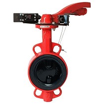 Затворы чугунные дисковые DN 50-250 PN 16 межфланцевые с концевиками и чугунным диском рычаг РАШВОРК купить в Воронеже | "Проконсим"