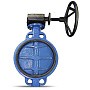 Затвор дисковый поворотный DN 350 PN 16 чугунный с диском из нержавеющей стали межфланцевый редуктор FAF 3500350D купить в Воронеже | "Проконсим"