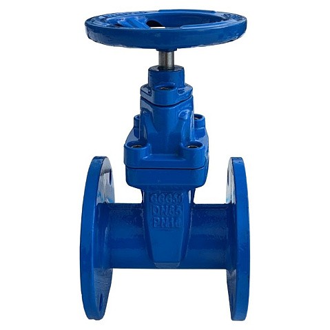 Задвижка чугунная 30ч39р DN 50 PN 10(16) с обрезиненным клином EPDM до 120гр. КНР купить в Воронеже | "Проконсим" (101469025)