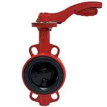 Затворы чугунные дисковые DN 50-100 PN 16 с электроприводом 24В и чугунным диском РАШВОРК купить в Воронеже | "Проконсим"