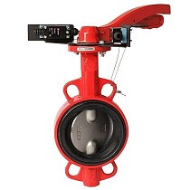 Затворы чугунные дисковые DN 50-250 PN 16 межфланцевые с концевиками диск из нержавеющей стали рычаг РАШВОРК купить в Воронеже | "Проконсим"