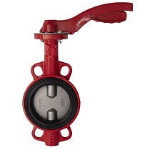 Затворы поворотные дисковые DN 40-250 PN 16 межфланцевые с чугунным диском рычаг Рашворк 200 купить в Воронеже | "Проконсим"