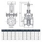 Задвижка чугунная 30ч6бр DN 50 PN 16(10) фланцевая параллельная ЛМЗ Семенов купить в Воронеже | "Проконсим"