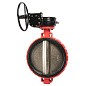Затвор дисковый поворотный DN 600 PN 16 межфланцевый с диском из чугуна уплотнение-EPDM редуктор Рашворк 200 купить в Воронеже | "Проконсим"