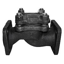 Клапаны обратные 16кч9п подъёмные DN 32-80 PN 25 чугунные фланцевые до 225гр. КНР купить в Воронеже | "Проконсим"