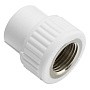 Муфта комбинированная ПП 25-3/4'' PN 25 с внутренней резьбой белая VALFEX  купить в Воронеже | "Проконсим"